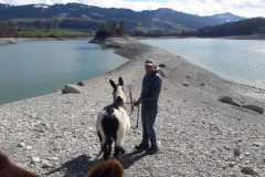 WhatsApp-Image-2021-06-30-at-06.37.08