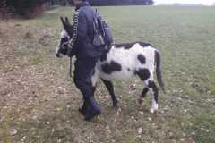 WhatsApp-Image-2021-06-30-at-06.37.09