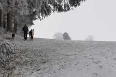 WhatsApp-Image-2021-06-30-at-06.37.19-1