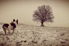 WhatsApp-Image-2021-06-30-at-06.37.19-2