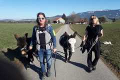 WhatsApp-Image-2021-06-30-at-06.37.19