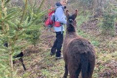 WhatsApp-Image-2021-06-30-at-06.37.20-1