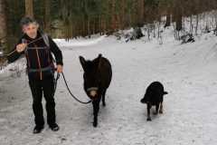 WhatsApp-Image-2021-06-30-at-06.37.20-4