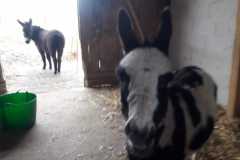 WhatsApp-Image-2021-06-30-at-06.37.20-5