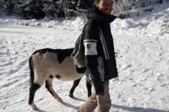 WhatsApp-Image-2021-06-30-at-06.37.20-7