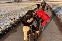 WhatsApp-Image-2021-06-30-at-06.37.21-5