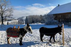 WhatsApp-Image-2021-06-30-at-06.37.22