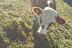 WhatsApp-Image-2021-06-21-at-14.20.45