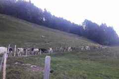 WhatsApp-Image-2021-06-21-at-14.20.48-4